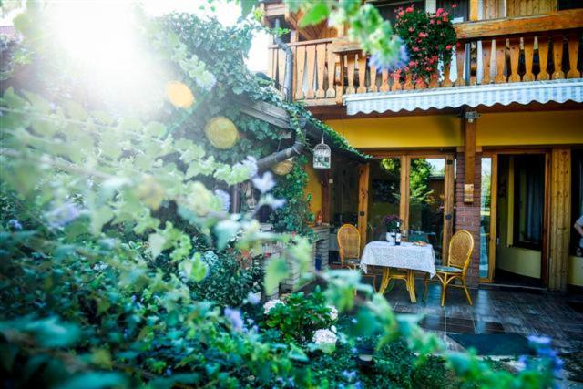 Siesta Vendeghaz Villa Eger Ngoại thất bức ảnh